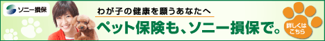 ソニー損保