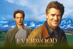 everwood_top.jpg