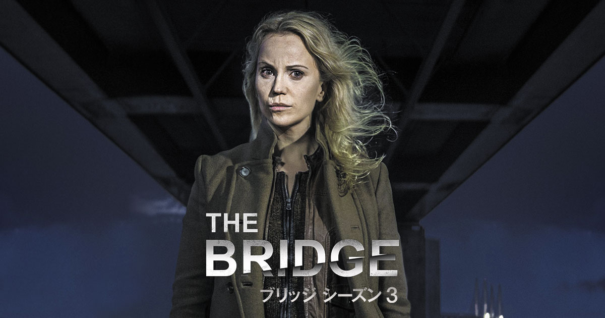 The Bridge ブリッジ シーズン3
