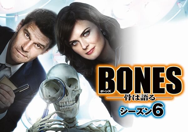 BONES骨は語る_シーズン6_yoko.jpg