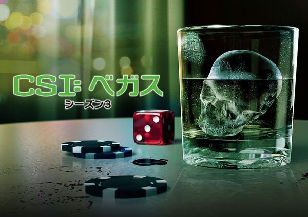 CSIベガス_シーズン3_yoko.jpg