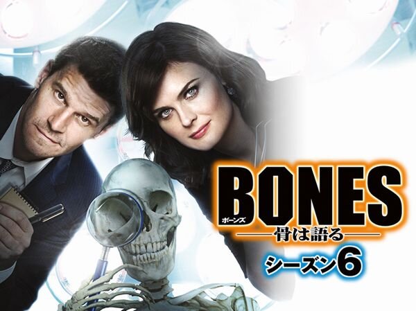 BONES骨は語る_シーズン6_yoko.jpg