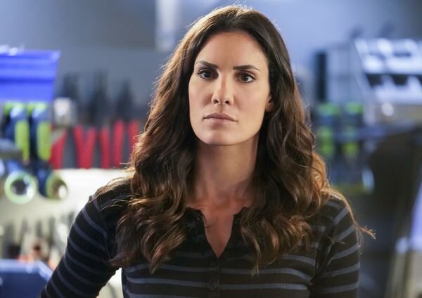 海外ドラマ最新レポート Vol.725 　「NCIS: LA 極秘潜入捜査班」のダニエラ・ルーア、愛犬が虹を渡る
