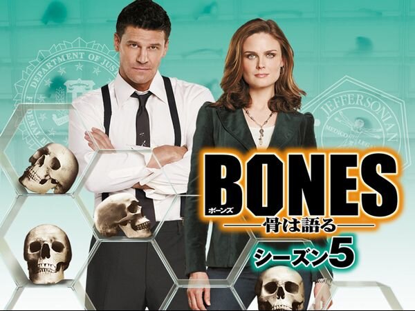 BONES骨は語る_シーズン5_yoko.jpg