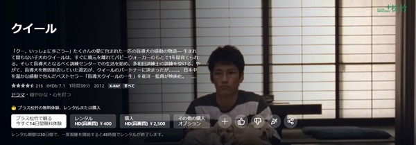 クイールamazon
