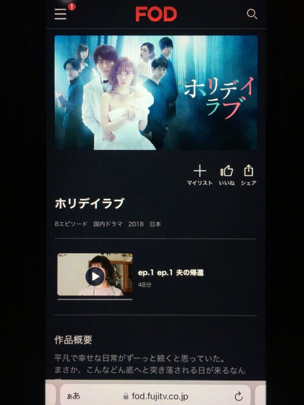 ホリデイラブ　fod