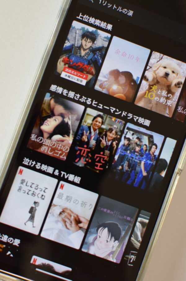 1リットルの涙　netflix