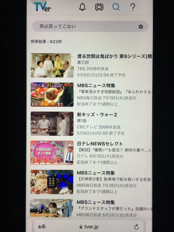 燕は戻ってこない　tver