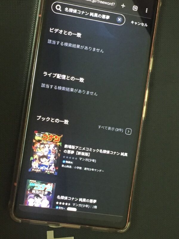 名探偵コナン 純黒の悪夢　U-NEXT