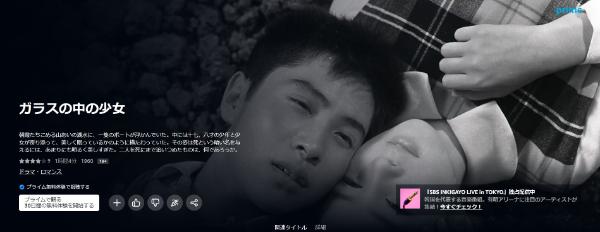 ガラスの中の少女amazon