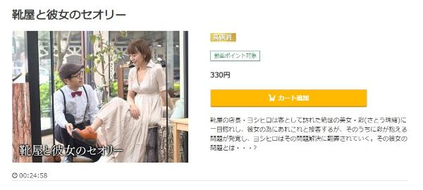 靴屋と彼女のセオリー music.jp