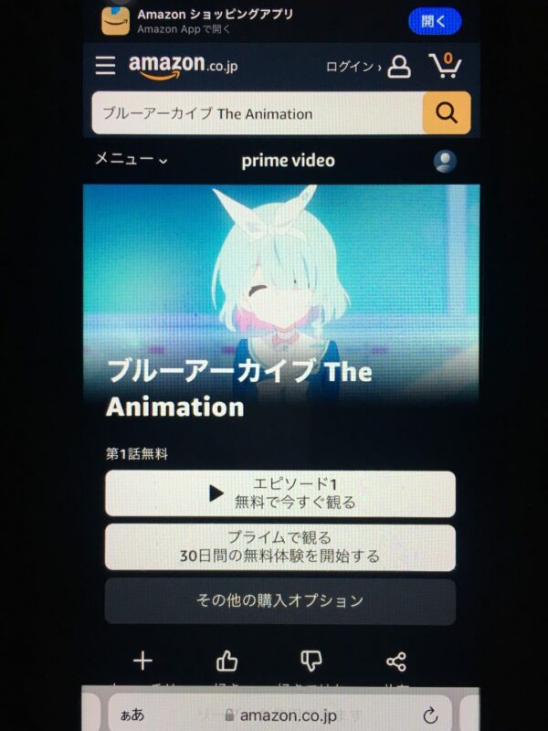 ブルーアーカイブ The Animation amazon