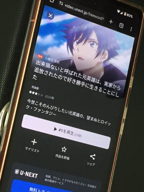 出来損ないと呼ばれた元英雄は、実家から追放されたので好き勝手に生きることにした　unext