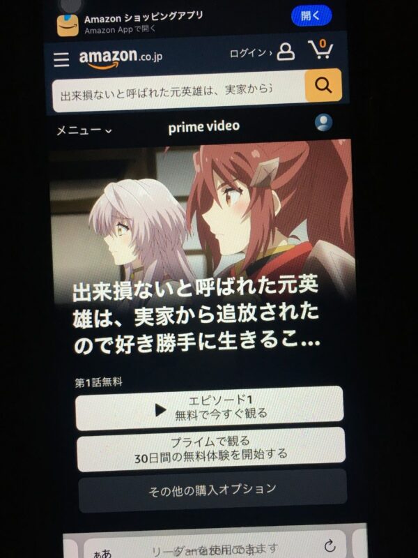 出来損ないと呼ばれた元英雄は、実家から追放されたので好き勝手に生きることにした　amazon