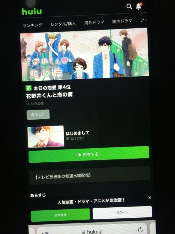 花野井くんと恋の病　hulu