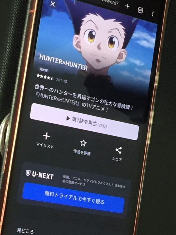 HUNTER×HUNTER（ハンターハンター）『2011年』　unext