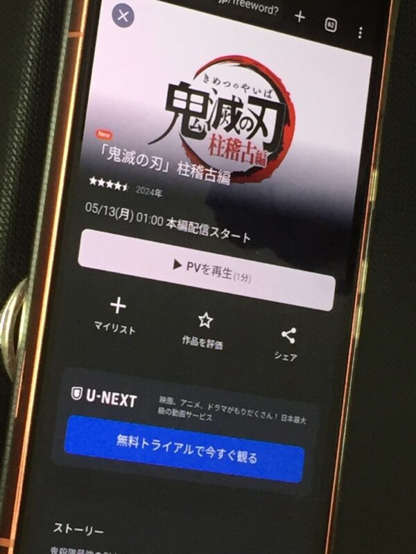 鬼滅の刃 柱稽古編　unext
