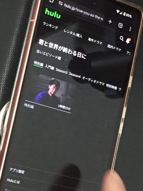 君と世界が終わる日に 特別編 hulu