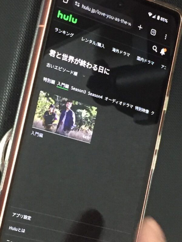 君と世界が終わる日に 入門編 完全新作SP hulu