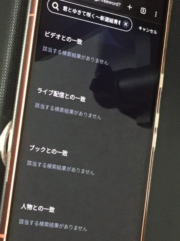 君とゆきて咲く～新選組青春録～　unext