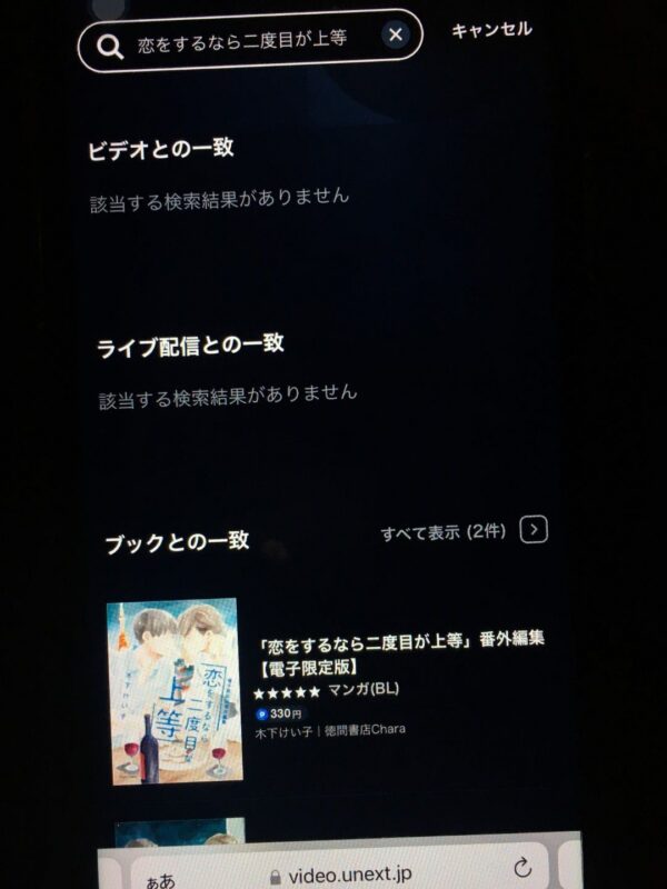 恋をするなら二度目が上等　unext