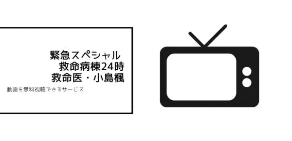 緊急スペシャル 救命病棟24時〜救命医・小島楓〜