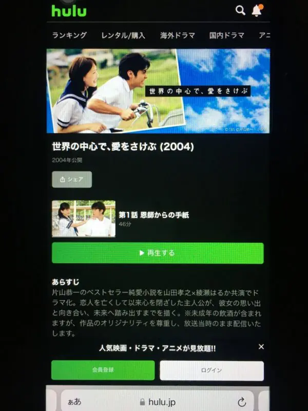 世界の中心で、愛をさけぶ hulu