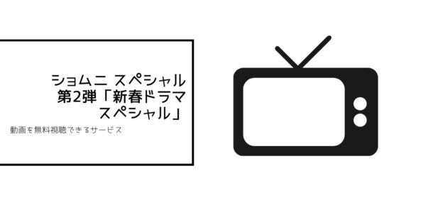 ショムニ全シリーズまとめ 2