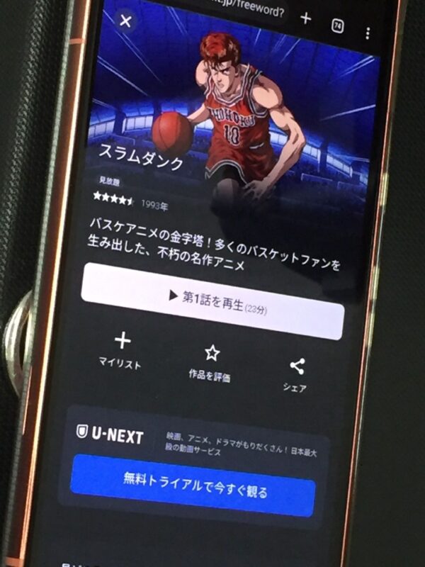 スラムダンク　unext