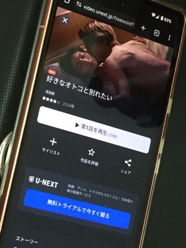 好きなオトコと別れたい unext