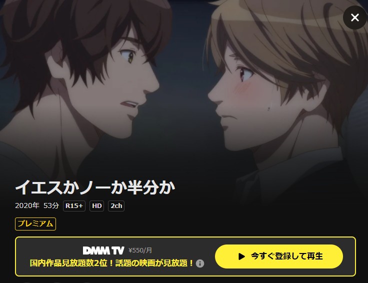 イエスかノーか半分か DMM TV