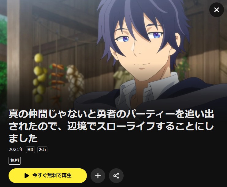 真の仲間じゃないと勇者のパーティーを追い出されたので、辺境でスローライフすることにしました DMM TV