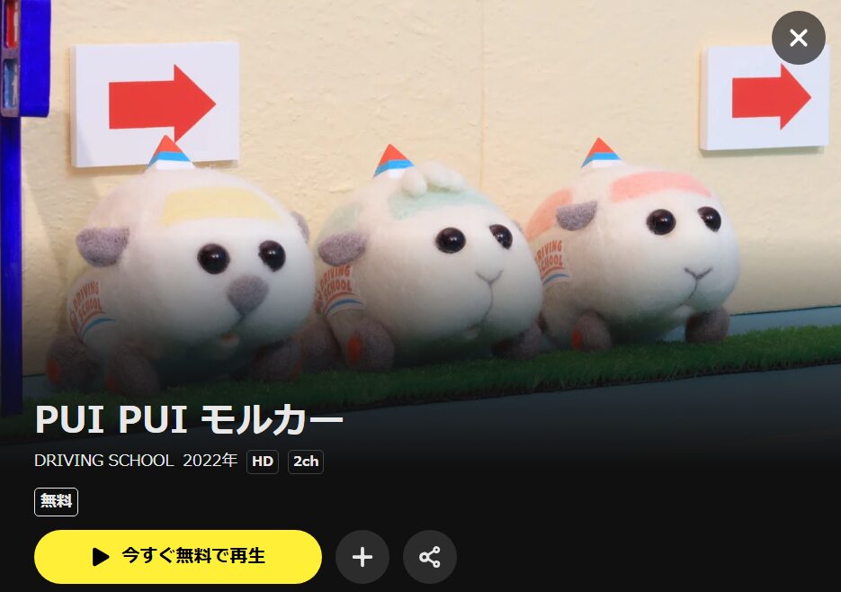 PUI PUI モルカー 2期 DRIVING SCHOOL DMM TV