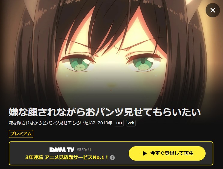 嫌な顔されながらおパンツ見せてもらいたい2 DMM TV