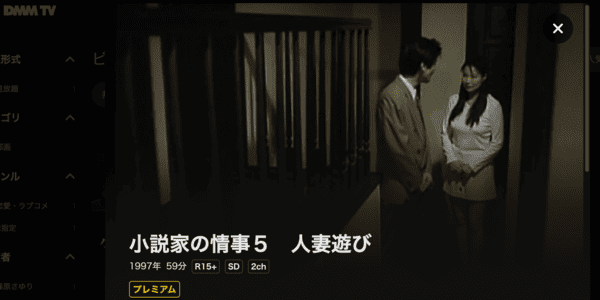 小説家の情事5 人妻遊び DMM TV