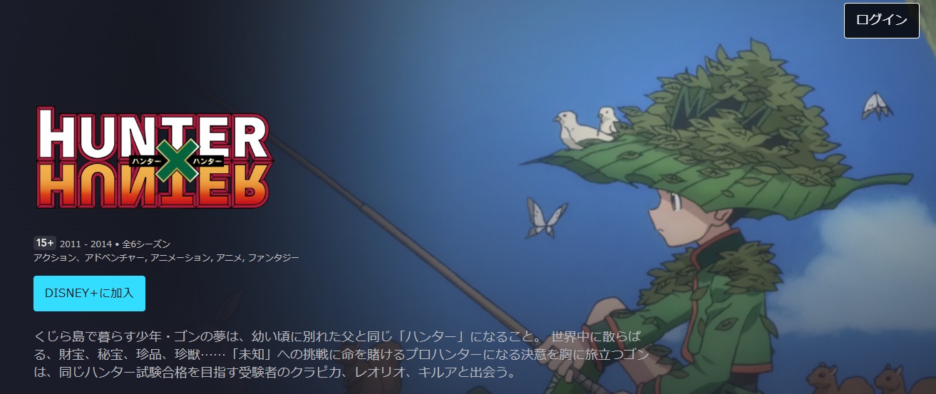 HUNTER×HUNTER　disny