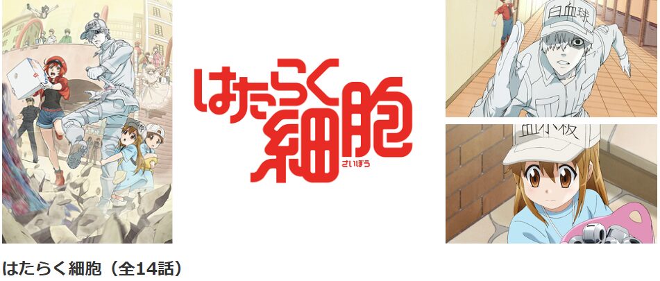 dアニメストア はたらく細胞