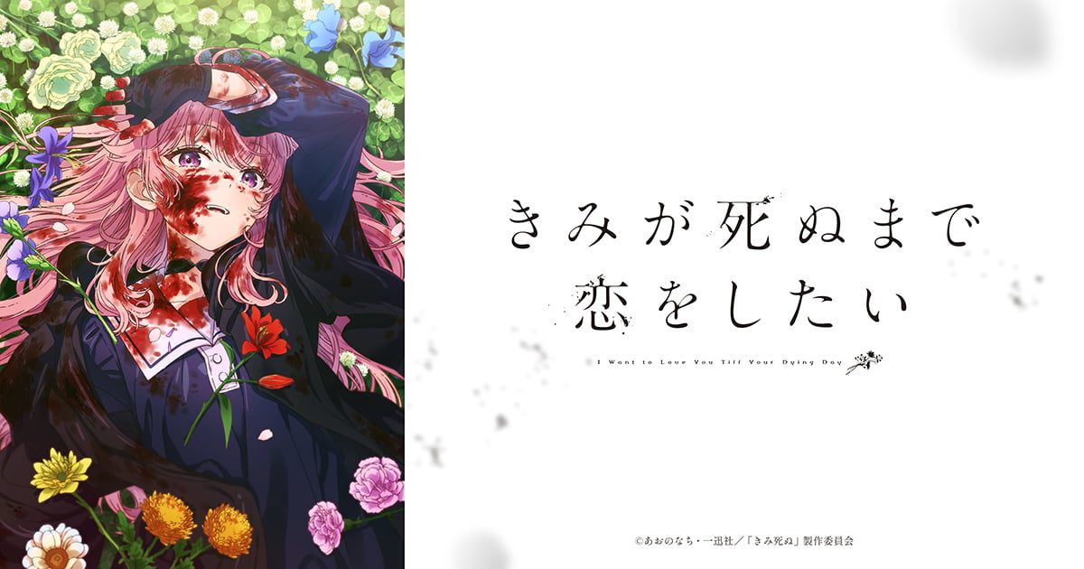 アニメ|きみが死ぬまで恋をしたいの配信はいつから?テレビ放送・配信情報まとめ