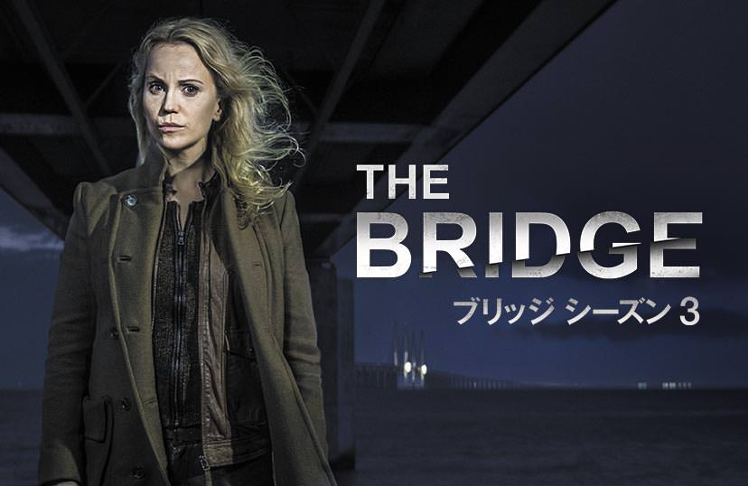 The Bridge ブリッジ シーズン3
