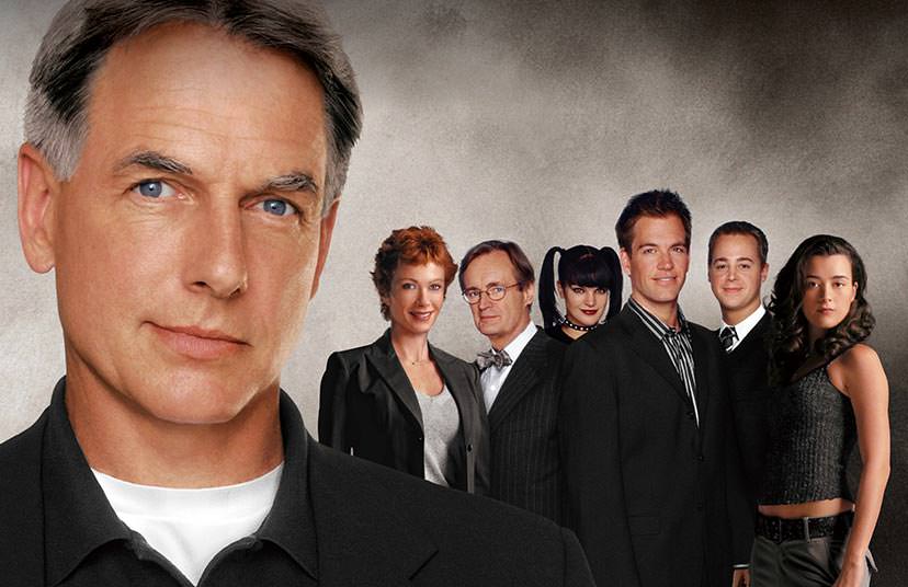 Ncis ネイビー犯罪捜査班 シーズン8