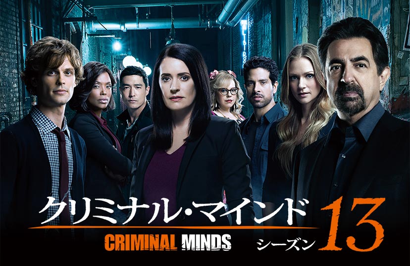 Criminal Minds シーズン1-13 DVD クリミナル マインド