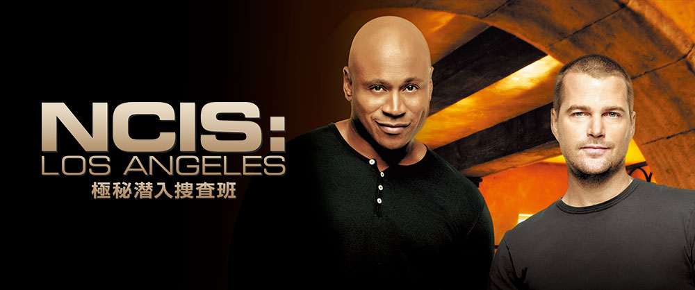 Ncis La 極秘潜入捜査班 シーズン5