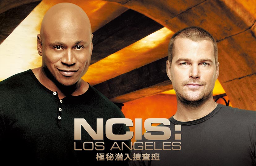 Ncis La 極秘潜入捜査班 シーズン5