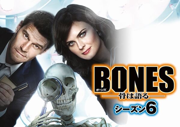 BONES骨は語る_シーズン6_yoko.jpg