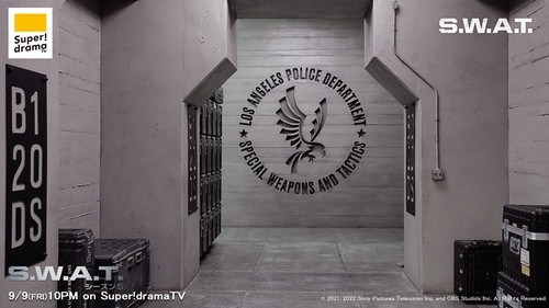 SWAT5_ZOOM_01.jpg